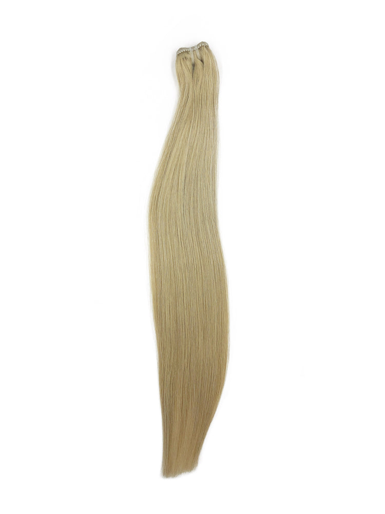 Booster Weft 60gm (26") #10 Light Blonde